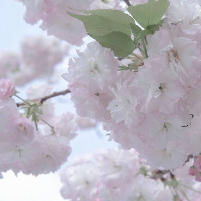 兽设雨夜场景创作兽圈社群