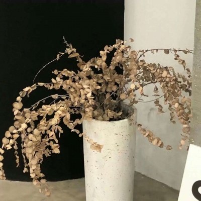 Furry绘画笔刷实用运用FurryQQ群